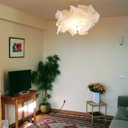 La Pardela Oceanfront Lejlighed